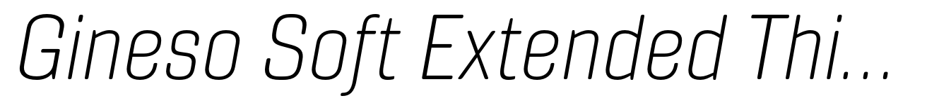 Gineso Soft Extended Thin Italic